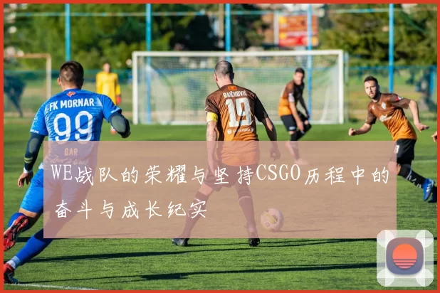WE战队的荣耀与坚持CSGO历程中的奋斗与成长纪实
