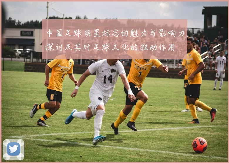 中国足球明星标志的魅力与影响力探讨及其对足球文化的推动作用