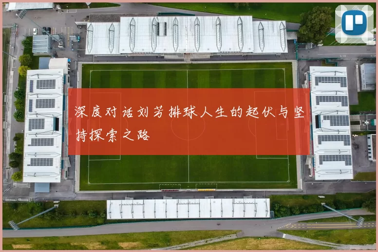 深度对话刘芳排球人生的起伏与坚持探索之路