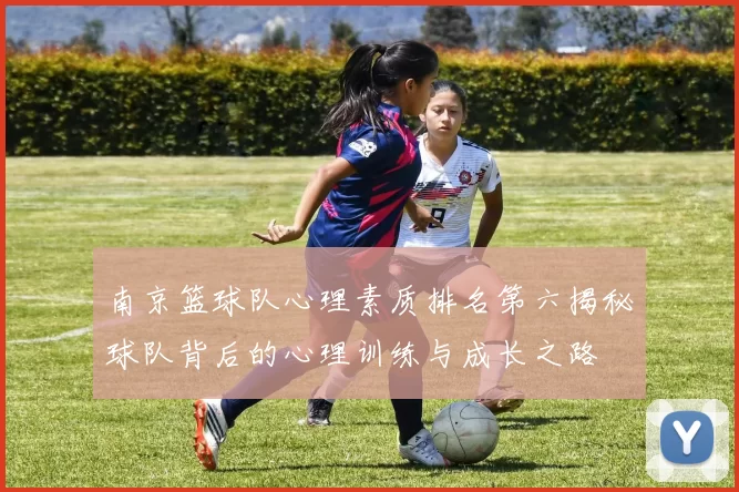 南京篮球队心理素质排名第六揭秘球队背后的心理训练与成长之路