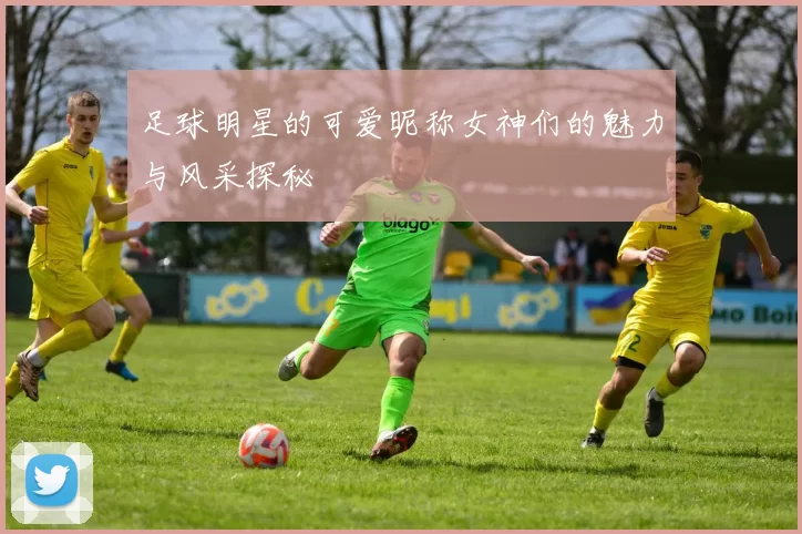 足球明星的可爱昵称女神们的魅力与风采探秘