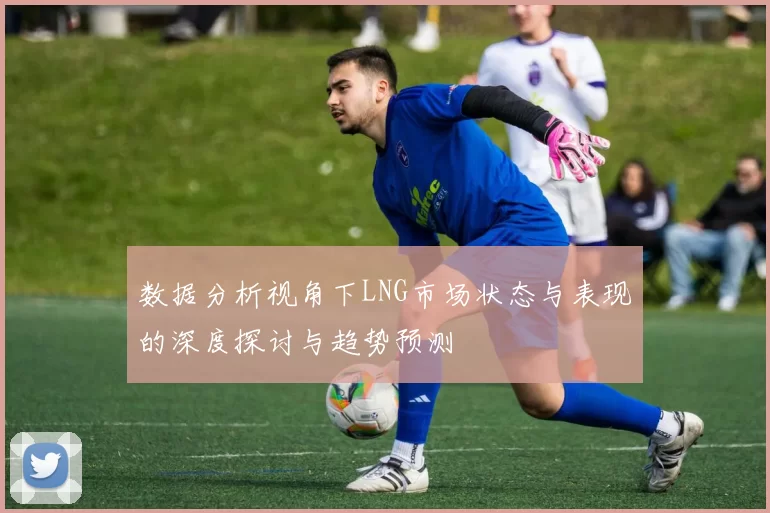 数据分析视角下LNG市场状态与表现的深度探讨与趋势预测