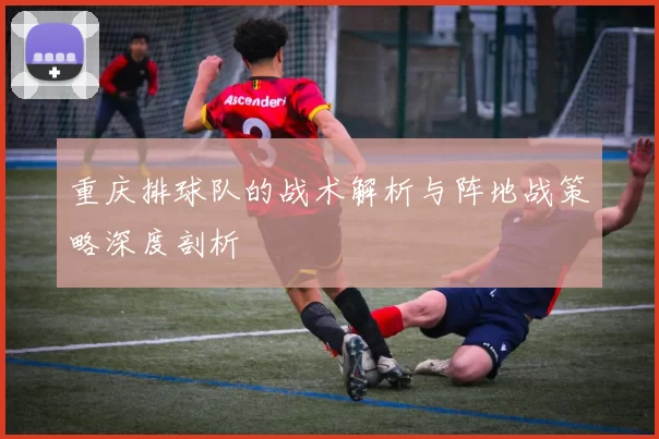 重庆排球队的战术解析与阵地战策略深度剖析