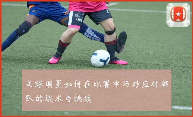 足球明星如何在比赛中巧妙应对猫队的战术与挑战
