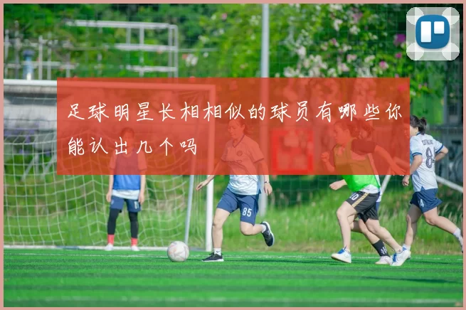 足球明星长相相似的球员有哪些你能认出几个吗