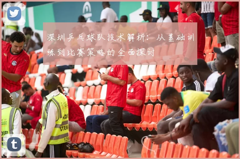 深圳乒乓球队技术解析：从基础训练到比赛策略的全面探讨