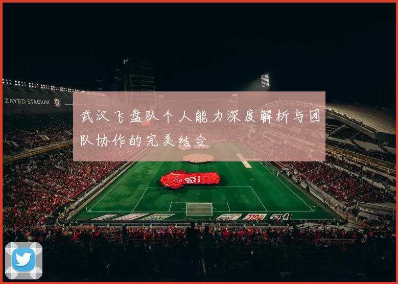 武汉飞盘队个人能力深度解析与团队协作的完美结合