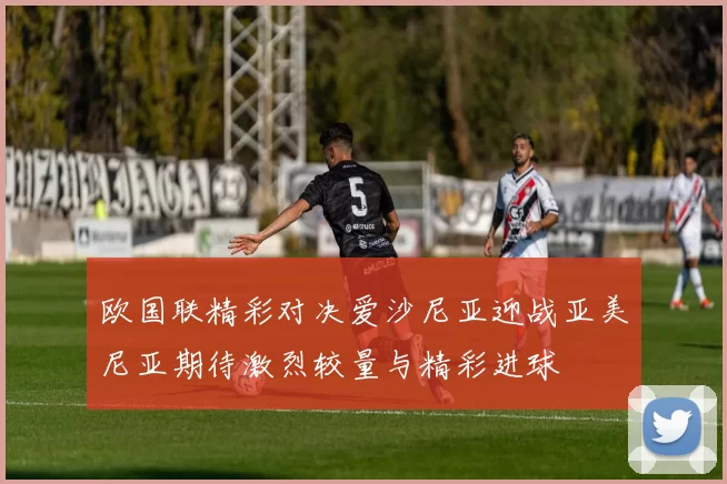 欧国联精彩对决爱沙尼亚迎战亚美尼亚期待激烈较量与精彩进球