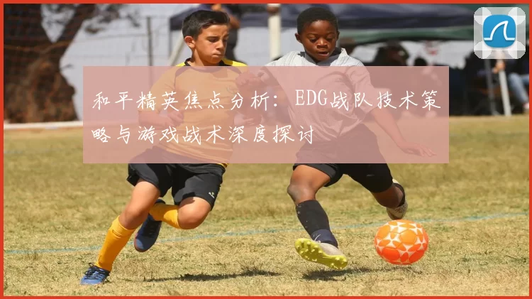 和平精英焦点分析：EDG战队技术策略与游戏战术深度探讨