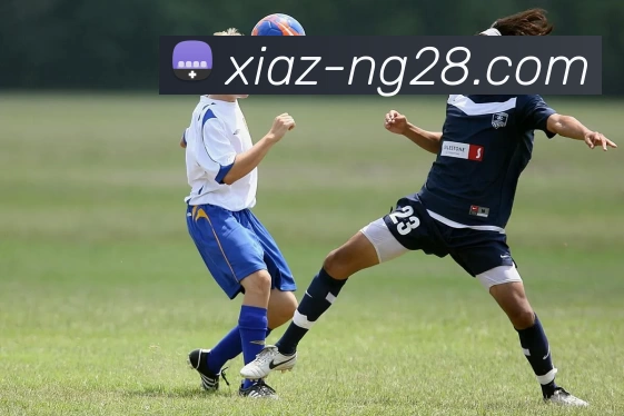 ng28.comAPP 封面图